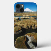 Payachalas Volcanos Case-Mate iPhone Case (Achterkant)