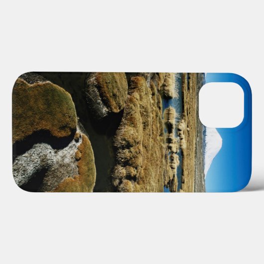 Payachalas Volcanos Case-Mate iPhone Case (Achterkant (horizontaal))