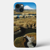 Payachalas Volcanos Case-Mate iPhone Case (Achterkant)