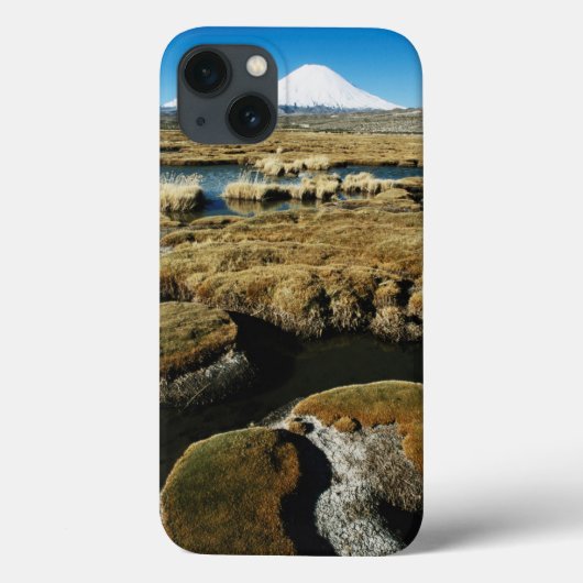 Payachalas Volcanos Case-Mate iPhone Case (Achterkant)