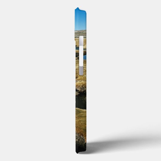 Payachalas Volcanos Case-Mate iPhone Case (Achterkant / Links)