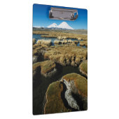 Payachalas Volcanos Klembord (Rechts)