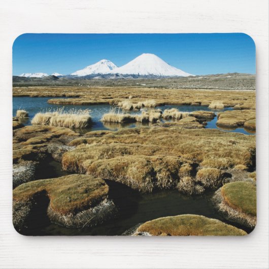 Payachalas Volcanos Muismat (Voorkant)