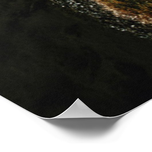 Payachalas Volcanos Poster (Hoek)