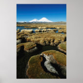 Payachalas Volcanos Poster (Voorkant)