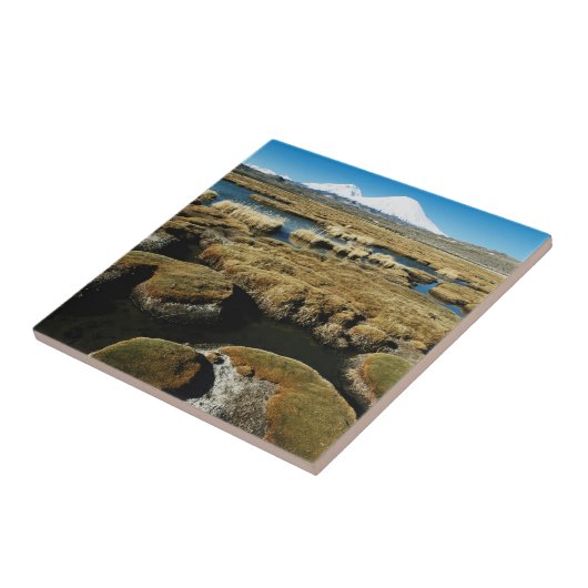 Payachalas Volcanos Tegeltje (Zijkant)