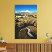 Payachalas vulkanen canvas afdruk (Insitu (Woonkamer))