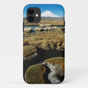 Payachalas-vulkanen iPhone 11 Hoesje