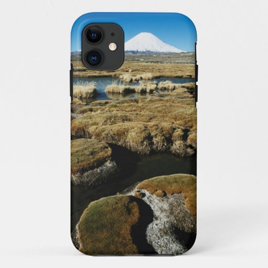 Payachalas-vulkanen Case-Mate iPhone Case (Achterkant)