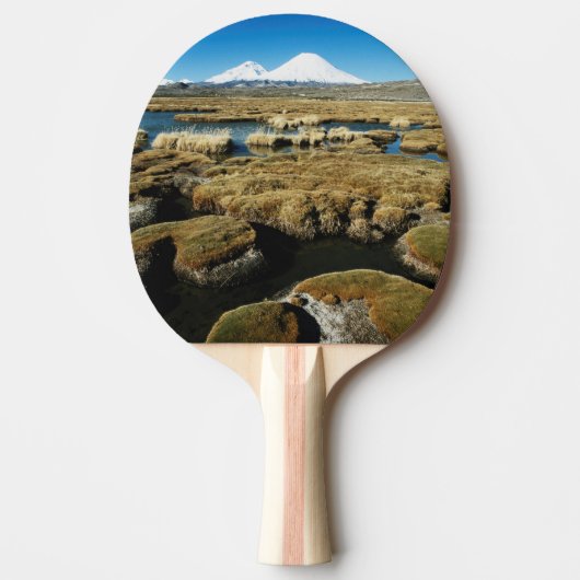 Payachalas Vulkanen Tafeltennisbatje (Voorkant)