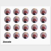 Payaso/Pallaso/Clown Ronde Sticker (Vel)