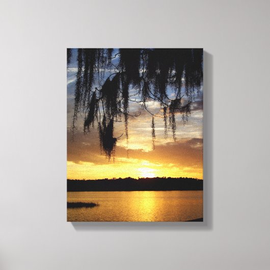 Paynes Prairie Florida Sunset Canvas Afdruk (Voorkant)