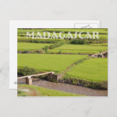 Paysage de rizières à Madagascar Briefkaart (Voorkant / Achterkant)