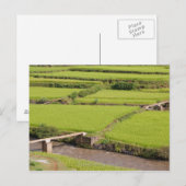 Paysage de rizières à Madagascar Briefkaart (Voorkant / Achterkant)