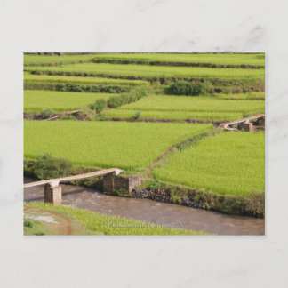 Paysage de rizières à Madagascar Briefkaart