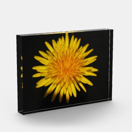 Pbcna van paardenbloem fotoblokken (Links)