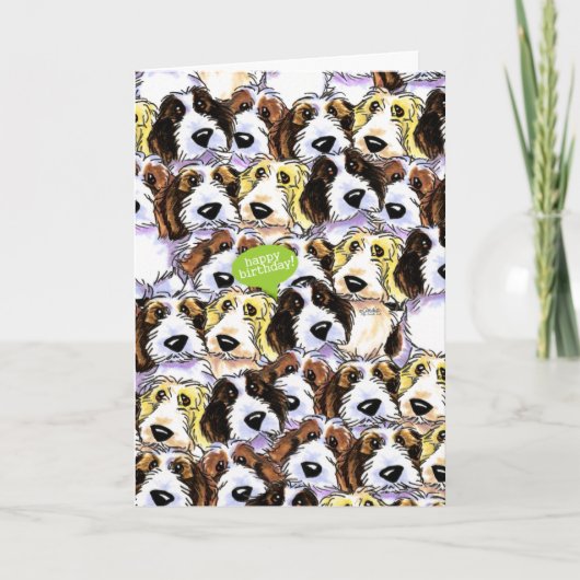 PBGV Dogs Funny Birthday Kaart (Voorkant)