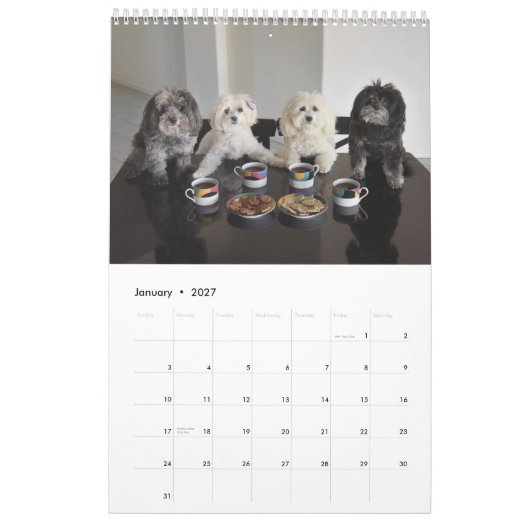 PBJ Pack 2017 Agenda Kalender (Jan 2027)
