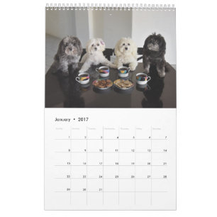 PBJ Pack 2017 Agenda Kalender