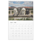 PBJ Pack 2017 Agenda Kalender (Mar 2026)