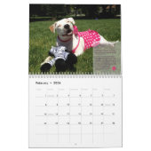 PBRC's Happy Endings Pit Bull Calendar 2014 Kalender (Feb 2026)