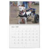 PBRC's Happy Endings Pit Bull Calendar 2014 Kalender (Mar 2027)