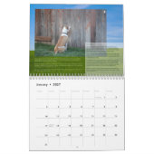 PBRC's Happy Endings Pit Bull Calendar 2014 Kalender (Jan 2027)