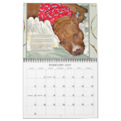 PBRC's People's Choice Pit Bull Calendar 2014 Kalender (Feb 2027)