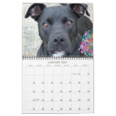 PBRC's People's Choice Pit Bull Calendar 2014 Kalender (Jan 2027)