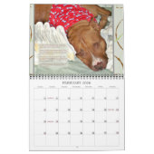 PBRC's People's Choice Pit Bull Calendar 2014 Kalender (Feb 2026)
