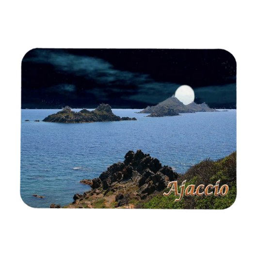 PC-FR0020 MAGNEET (Horizontaal)