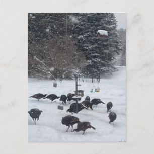 PC winter party het bijeenkomen krijgen-samen verg Briefkaart