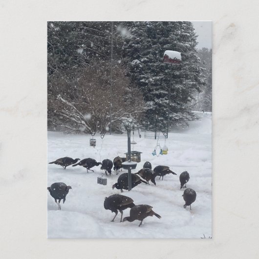 PC winter party het bijeenkomen krijgen-samen verg Briefkaart (Voorkant)