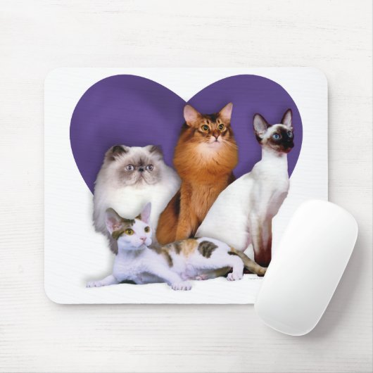 PCBR Mousepad! Muismat (Met muis)