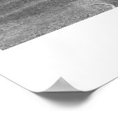 PCEC-rail Poster (Hoek)