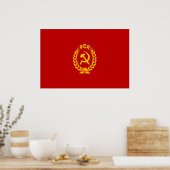 Pcr, Roemeense vlag Poster (Keuken)