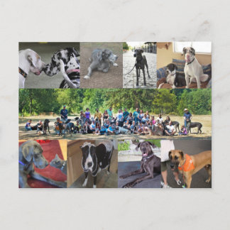 PDXDanes-Briefkaart Briefkaart