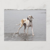 PDXDanes Fynn Briefkaart 2011 (Voorkant)