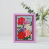 Pea Plant  zaadpakket kunst Briefkaart (Staand voorkant)