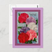 Pea Plant  zaadpakket kunst Briefkaart (Voorkant / Achterkant)