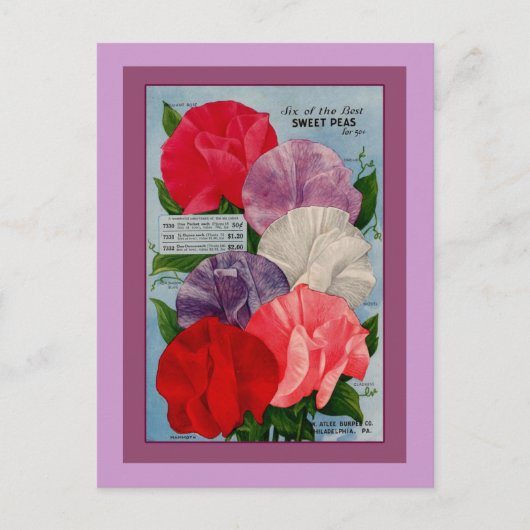 Pea Plant  zaadpakket kunst Briefkaart (Voorkant)