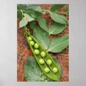 Pea Pod Poster (Voorkant)