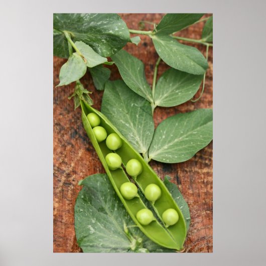 Pea Pod Poster (Voorkant)