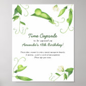 Pea Time Capsule 1e verjaardag genderneutraal Poster (Voorkant)