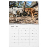 Peace Boerderij Calendar Kalender (Mar 2027)