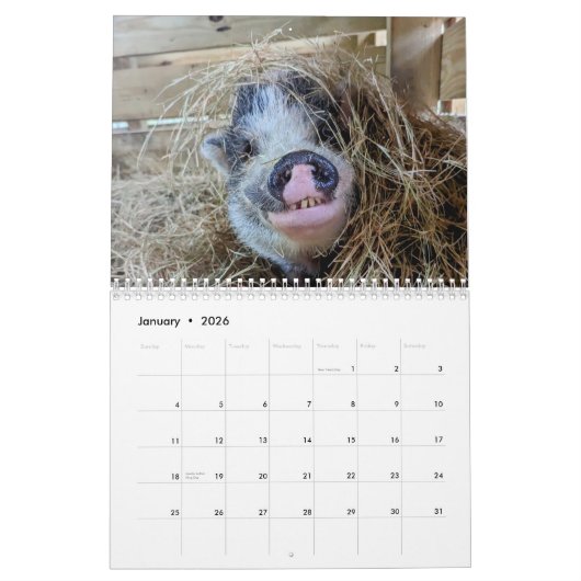 Peace Boerderij Calendar Kalender (Jan 2026)