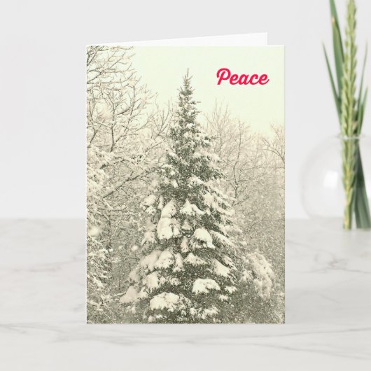 Peace Christmas Kaart met een besneeuwd tafereel (Voorkant)