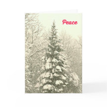Peace Christmas Kaart met een besneeuwd tafereel