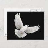 Peace Dove Briefkaart (Voorkant / Achterkant)