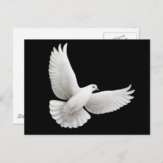 Peace Dove Briefkaart (Voorkant / Achterkant)